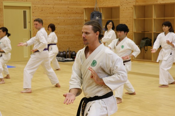 How Goju Ryu Training Contributes to Overall Physical Fitness and Flexibility